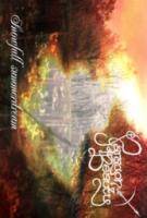 Paragon Of Beauty : Snowfall Summerdream Paragon Of Beauty : Snowfall Summerdream